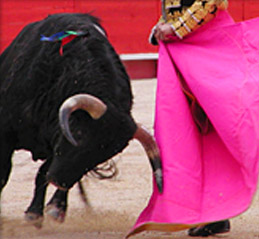 img-fermin-bohorquez